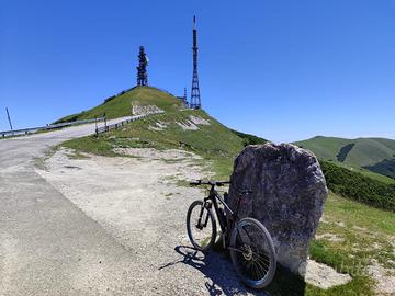 MTB Focus Raven in carbonio