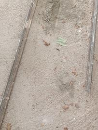 Profilo in ferro a T