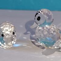coppia papere swarovski