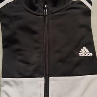 set felpa e pantaloni Adidas 13/14 anni 