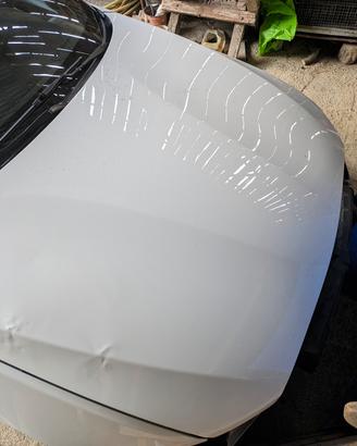 Cofano anteriore f20 bianco  serie 1