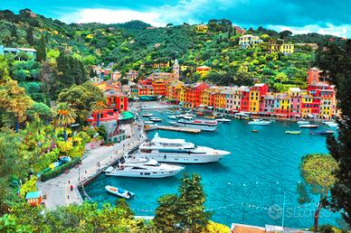 Portofino - Attività commerciale