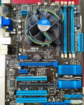 Scheda Madre ASUS+CPU