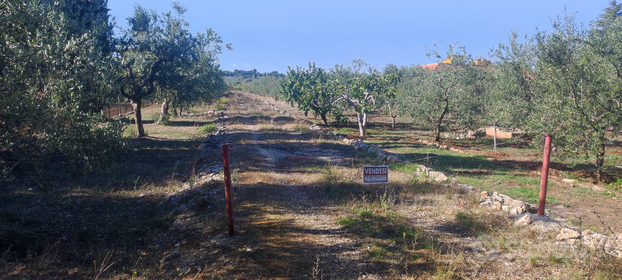 Terreno agricolo