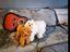 Immagine 6
