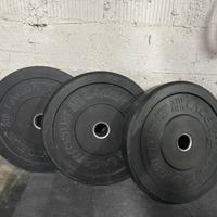 Dischi bumper lacertosus