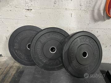 Dischi bumper lacertosus