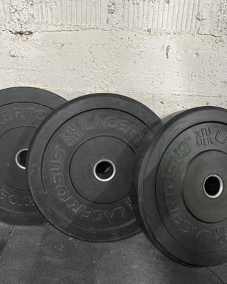 Dischi bumper lacertosus