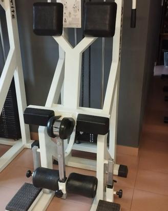 Standing Leg Curl Pannatta