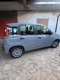 FIAT Panda 1.3 MJT 95 CV S&S Easy
