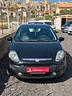 fiat-punto-evo-punto-evo-1-3-mjt-75-cv-dpf-5-porte