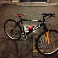 1 bicicletta Leri e un altra Top bike snake