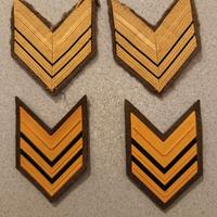 Sergente Maggiore E.I.: insegne di grado 