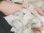 Immagine 4
