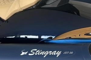 Stingray jst 230