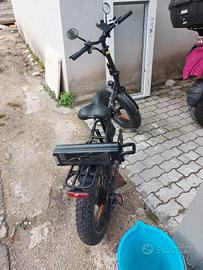 bicicletta fat bike a pedalata assistita 