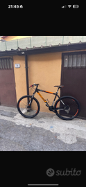 Bici mountabike 29
