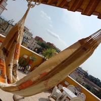 Amaca originale venezuelana