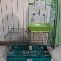 Lotto 2 gabbie x pappagallini