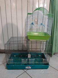 Lotto 2 gabbie x pappagallini