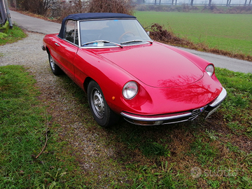 Alfa romeo duetto 2+2