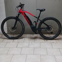 bicicletta elettrica a pedalata assistita FANTIC