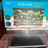 Acquario Ciano 60