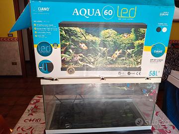 Acquario Ciano 60