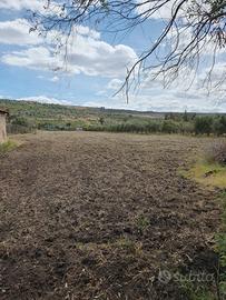 Terreno di 6000 Mq ad Agnone Bagni (SR)