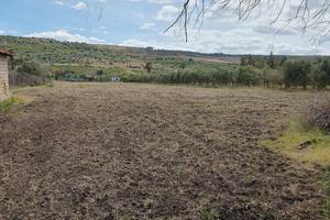 Terreno di 6000 Mq ad Agnone Bagni (SR)