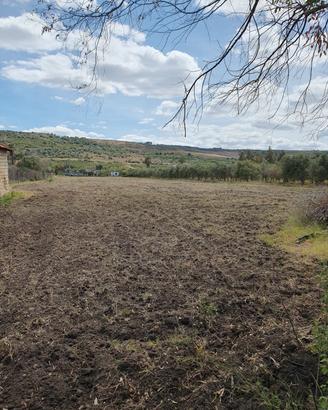Terreno di 6000 Mq ad Agnone Bagni (SR)