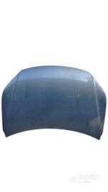 COFANO ANTERIORE VOLKSWAGEN Tiguan 1° Serie 5N082