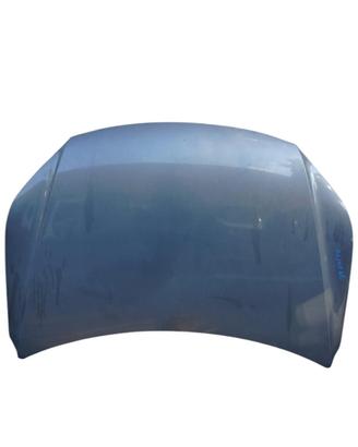 COFANO ANTERIORE VOLKSWAGEN Tiguan 1° Serie 5N082