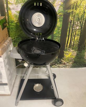 Barbecue a gas