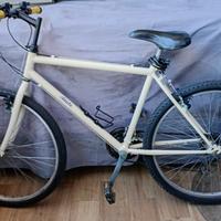 biciclette rimesse a nuovo