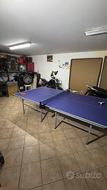Tavolo ping pong