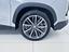 Immagine 15