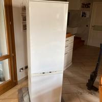 Frigo incasso