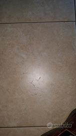 Piastrelle MARAZZI del 2008 codice MHFH