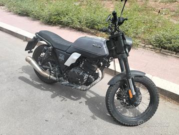 Brixton Glanville 250 - 2020