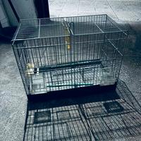 Gabbia per uccelli