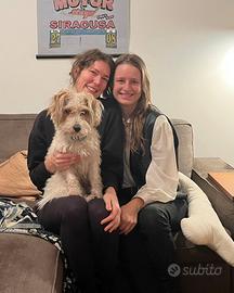 Appartamento da aprile 2026 fino a 550