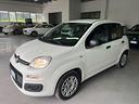 fiat-panda-1-2-easypower-easy