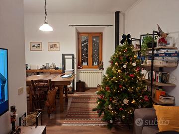 Albero di Natale pino marittimo h 180 cm