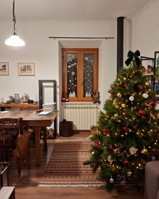 Albero di Natale pino marittimo h 180 cm