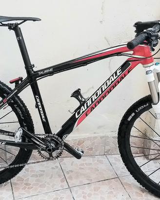 MTB CANNODALE CARBONIO 