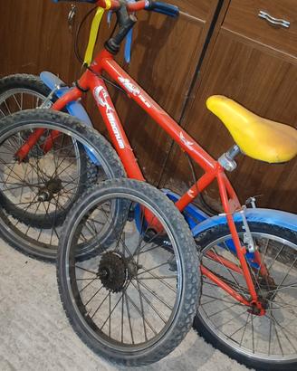 bicicletta 20