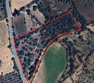 Vendita terreno Loc. Gustierì, strada per Gairo