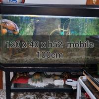 5 Acquari varie dimensioni funzionanti con luci