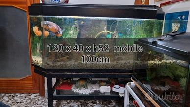5 Acquari varie dimensioni funzionanti con luci